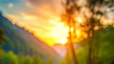 رواية عهد الاسود الجزء الثاني (حصري من الفصل 7: الفصل 12) بقلم زهرة الربيع 